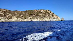 De Rosas a Cadaques 38